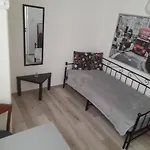 Miller Mini Studio